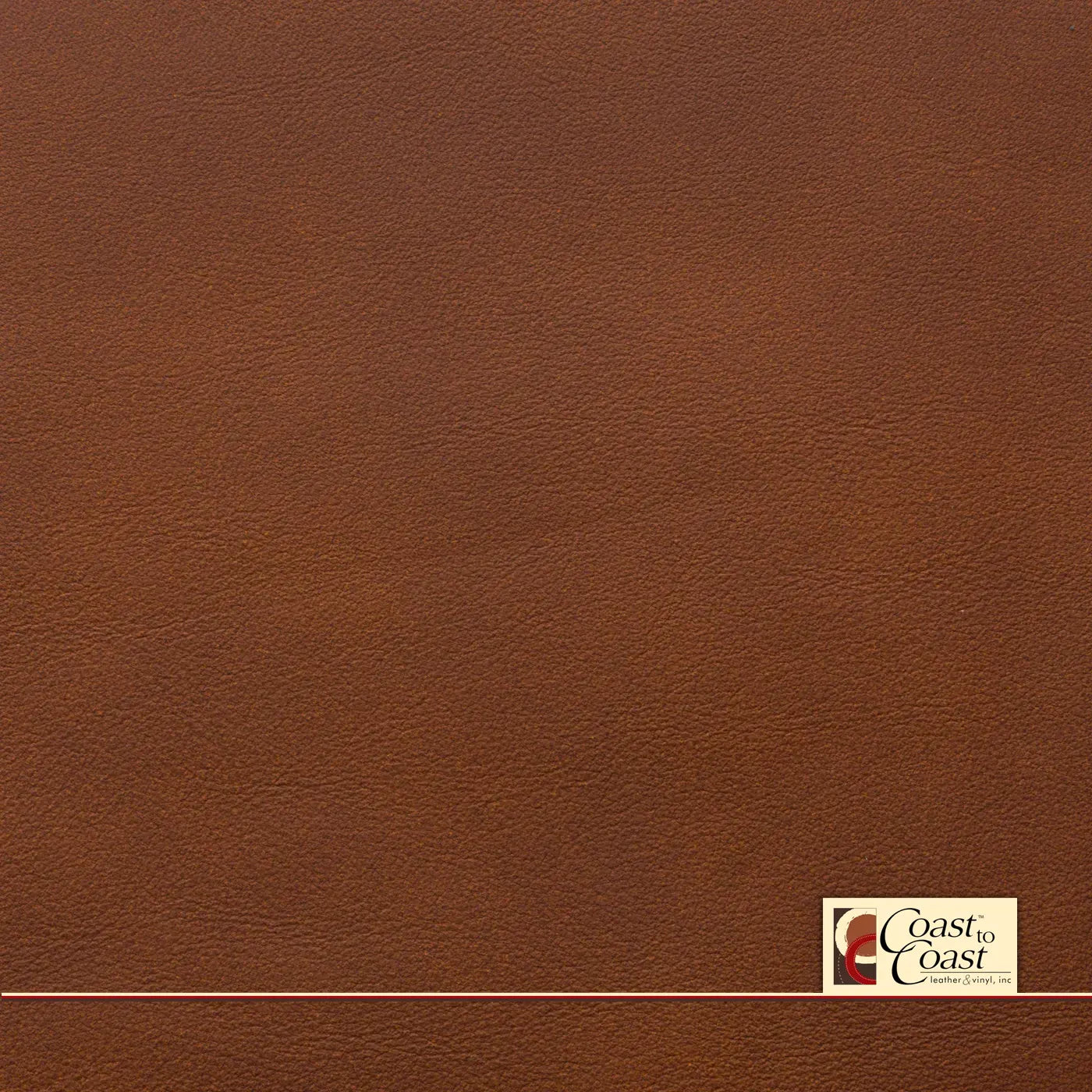 Ford Kingsville Full Hide / Plain Leather